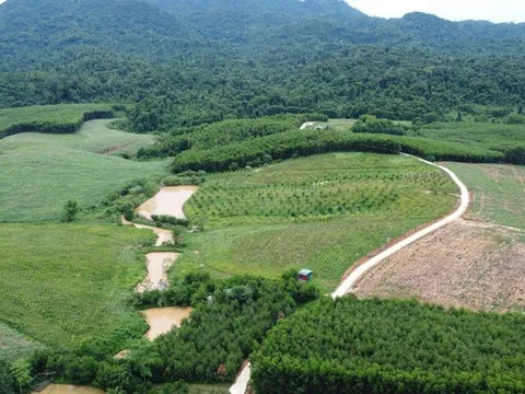 Gần 20 năm lập làng, hàng trăm "thanh niên" U50 vẫn mỏi mòn chờ sổ đỏ