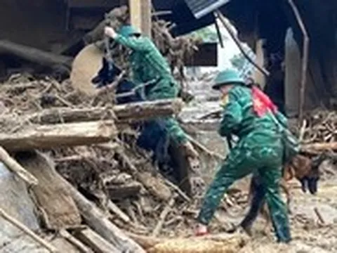 Lũ quét ở Lai Châu: Triển khai chó nghiệp vụ tìm kiếm 4 người mất tích