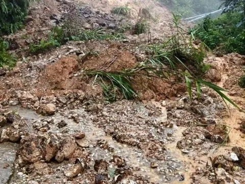 Dự báo thời tiết 19/7/2026: Bắc Bộ mưa to đến rất to, nhiều nơi nguy cơ lũ quét, sạt lở đất