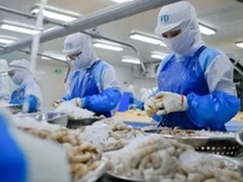 Việt Nam xuất khẩu tôm vượt 2,3 tỉ USD