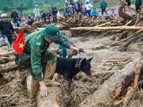 Chó nghiệp vụ bị thương vẫn dầm bùn tìm kiếm người mất tích vì lũ quét ở Lai Châu