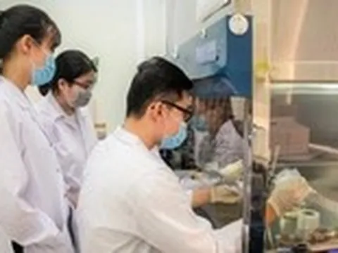 Thành phố của nguồn nhân lực chất lượng cao