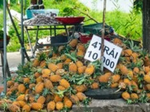 Giá khóm lên 11.000 đồng/kg nhưng sao vẫn có người treo bảng bán 6 trái khóm 10.000 đồng?