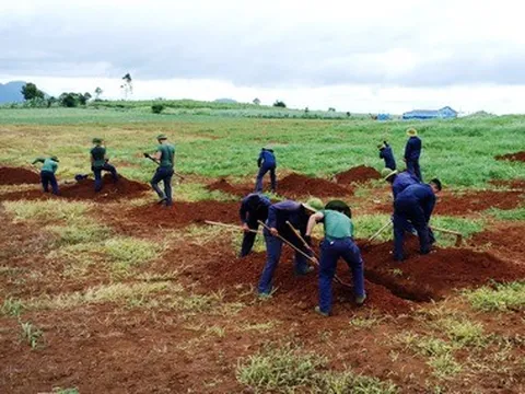 Khẩn trương tìm mộ tập thể 147 liệt sĩ Trung đoàn 96