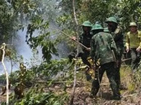 Một tuần 2 đám cháy rừng, Đà Nẵng cảnh báo cháy rừng cấp nguy hiểm tại nhiều nơi