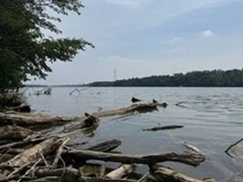 Mỹ: 5 người chết đuối khi cố gắng cứu nhau trên sông ở bang Ohio