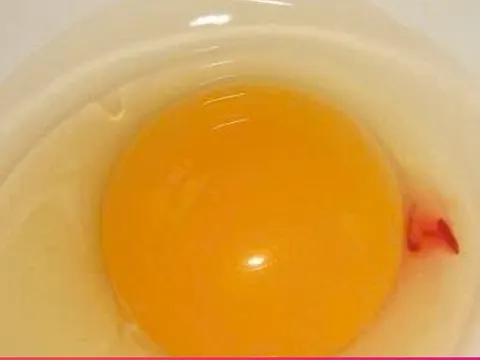 Vì sao lòng đỏ trứng lại có đốm máu? Câu trả lời khiến nhiều người bất ngờ
