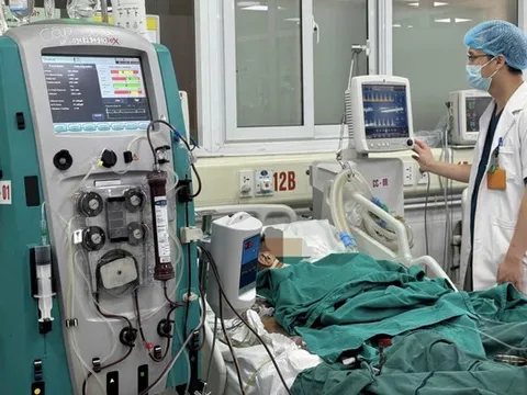 Uống rượu rồi về ngủ, cụ ông 64 tuổi hôn mê, suy đa tạng