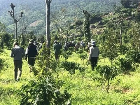 Huy động hàng trăm người và chó nghiệp vụ tìm kiếm thiếu niên 15 tuổi mất tích