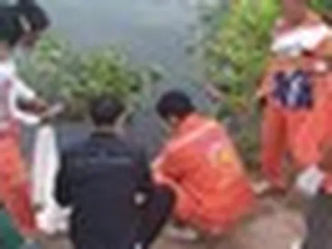 Thấy đàn cá vây quanh túi ni lông dưới chân cầu, người đàn ông kéo lại gần: Nhìn vào liền tái mặt