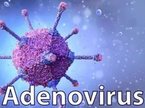 Virus Adeno gia tăng ở trẻ, Bộ Y tế khuyến cáo cách phòng bệnh
