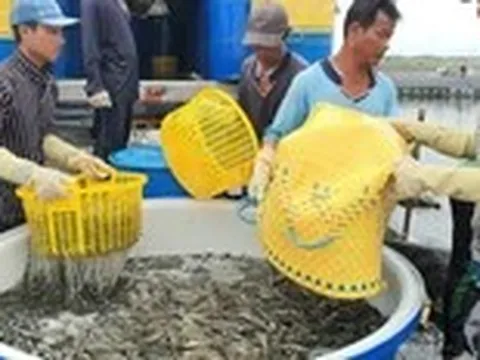 Hành động nào khi 'rào cản' thương mại ngày càng tăng?
