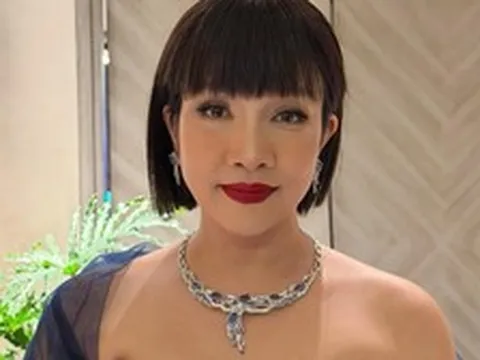 Tình hình hiện tại của Diva Mỹ Linh
