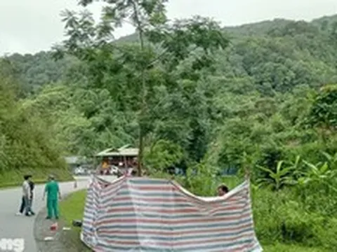 Hai người tử vong sau khi xe máy lao xuống suối