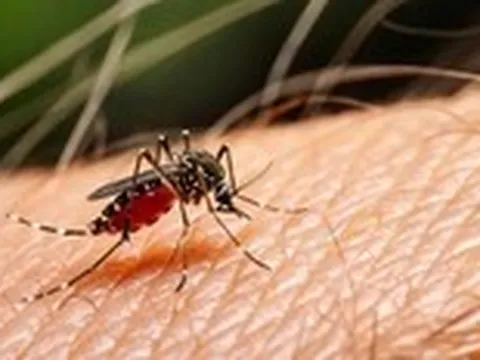 Sốt xuất huyết Dengue: Thay đổi khó lường, lan rộng phức tạp