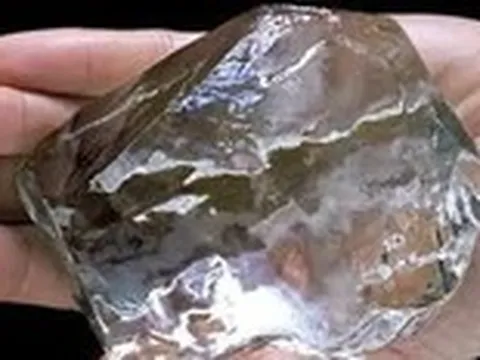 Giá trị, niềm tin và những thứ chưa thể 'nuôi cấy'