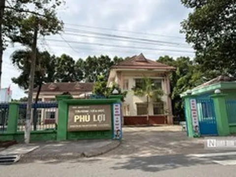 Sau sáp nhập, nhiều trụ sở công ở Tp.HCM bước vào "hành trình mới"