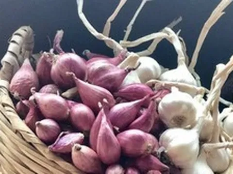 Hành, tỏi nên mua loại màu trắng hay tím?