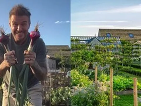 Căn nhà để nuôi gà của David Beckham