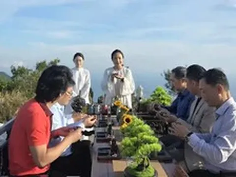 Mở tour nơi tỷ phú Bill Gates thưởng trà: Vì sao chỉ đón 6 khách?