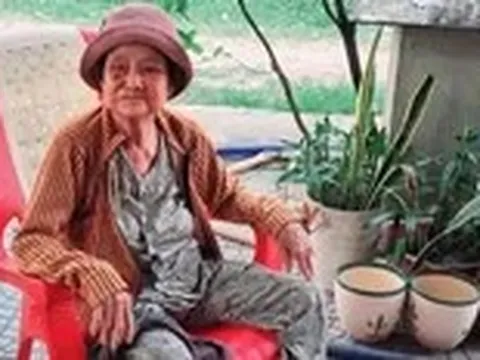 Đi giữa đời bỗng nhớ tiếng rao 'Ai sương sâm hạt lựu' của bà Tư một thuở