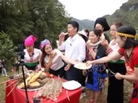 Vừa bán hàng trên sàn vừa làm tiếp thị liên kết, nộp thuế thế nào?