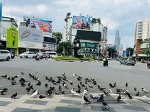 Là nơi trở về...