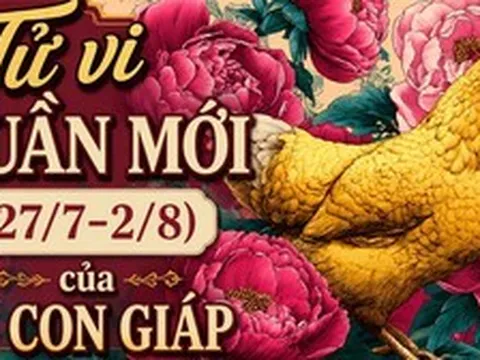 Tử vi tuần mới (27/7-2/8): Top 3 con giáp may mắn nhất, công việc lên hương, tiền bạc rủng rỉnh