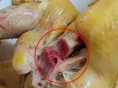 Vì sao thịt gà luộc chín vẫn đỏ xương?