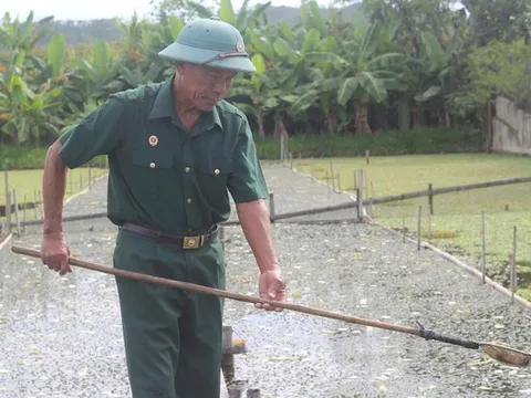 Cựu chiến binh quê Bác làm kinh tế thành công từ mô hình nuôi ốc bươu đen