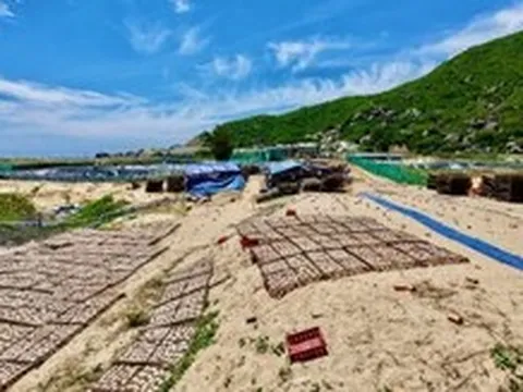 Cung đường ven biển đẹp nhất Phú Yên bốc mùi vì sơ chế mực xà