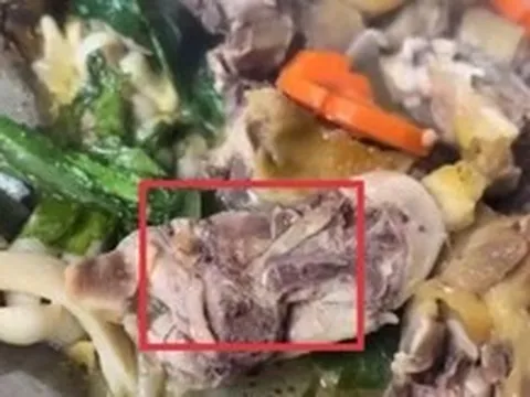 Tạm đình chỉ cơ sở nấu ăn bị tố có giòi trong món gà