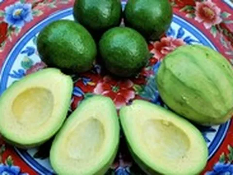 Lợi ích bất ngờ của bơ, loại trái cây ngon đang vào chính vụ