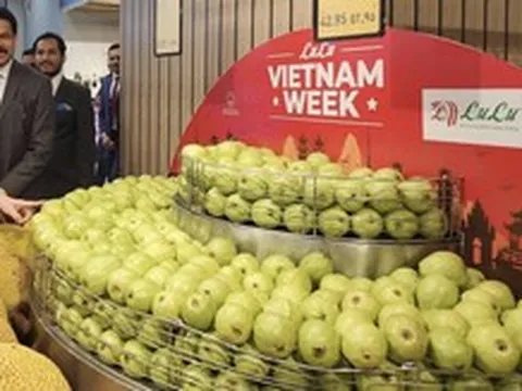 Tập đoàn bán lẻ quốc tế 'săn' nhà cung cấp Việt Nam cho nhãn hàng riêng