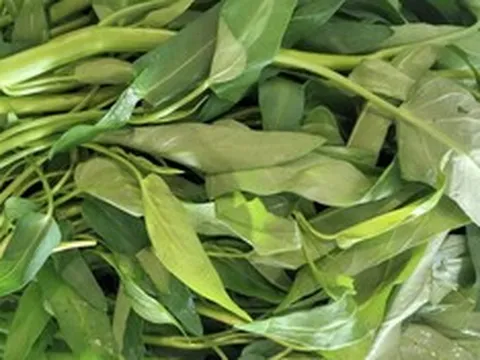 Ăn rau muống mỗi ngày: Điều gì sẽ xảy ra với cơ thể?