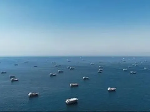 Hơn 1.500 tàu mắc kẹt ở eo biển Hormuz có thể gây 'siêu phát tán' sinh vật xâm lấn toàn cầu