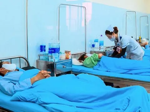Điều tra vụ 84 người nhập viện sau khi ăn bánh mì tại Lâm Đồng