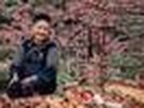 Ngôi làng hơn 150 năm tuổi cách Hà Nội 320 km: Đẹp như tranh 4 mùa, được đề cử danh hiệu tốt nhất thế giới