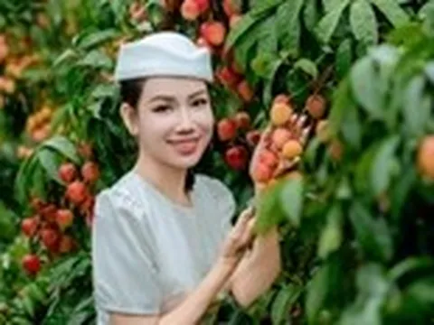 Vải thiều Bắc Ninh thắng lớn, tổng doanh thu vượt 9.000 tỉ đồng