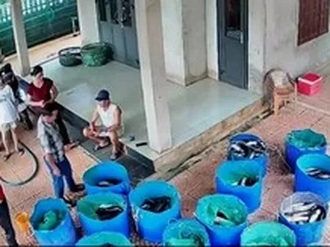 Hồ cá lóc hơn 3 tấn bị sét đánh, hàng xóm vừa mua ủng hộ vừa lên mạng rao giúp