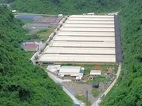 Khởi tố vụ án tai nạn lao động làm 5 người chết tại trại nuôi heo ở Thanh Hóa