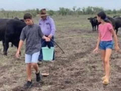 Xứ chuột túi cũng có mùa phượng thắm và tiếng ve râm ran