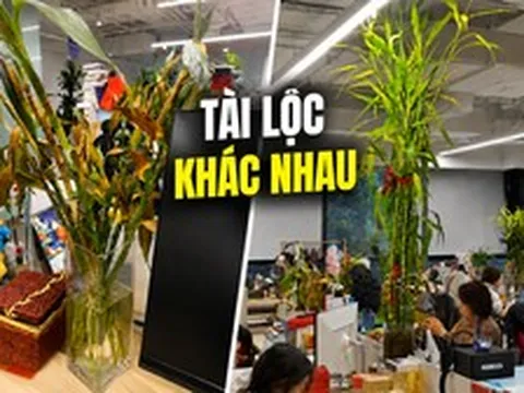 Đồng nghiệp trồng cây phát lộc cao chạm trần, cây của mình lại héo vàng: Cư dân mạng nói một câu khiến cô quyết tâm kiếm tiền