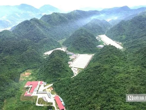 Vụ 5 công nhân tử vong tại trại lợn Dabaco: Khởi tố vụ án để điều tra
