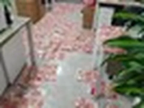 Về nhà sau hơn nửa tháng đi công tác, người đàn ông tái mặt khi thấy thứ ở ban công: Mất 14 giờ 'giải cứu'