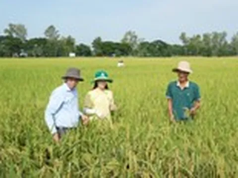 ‘Thức giấc với mùa vàng’ 2026 - Cùng nhà nông chuyển đổi và kết nối