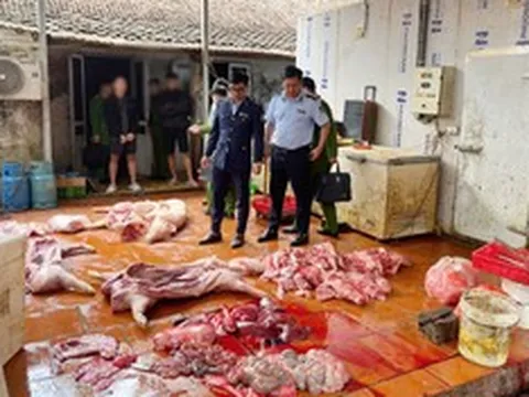 Hưng Yên: Chuyển cơ quan điều tra vụ gần 1 tấn thịt lợn nghi nhiễm dịch tả lợn châu Phi