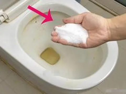 Vì sao nên đổ muối vào bồn cầu khi bị tắc nghẽn?