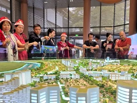 Bác sĩ, luật sư, môi giới bất động sản sẽ bị rà soát thuế trong bao nhiêu năm?