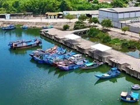 Đầu tư thêm 8 tỉ đồng để 'hồi sinh' cảng cá gần 200 tỉ ở Quảng Ngãi